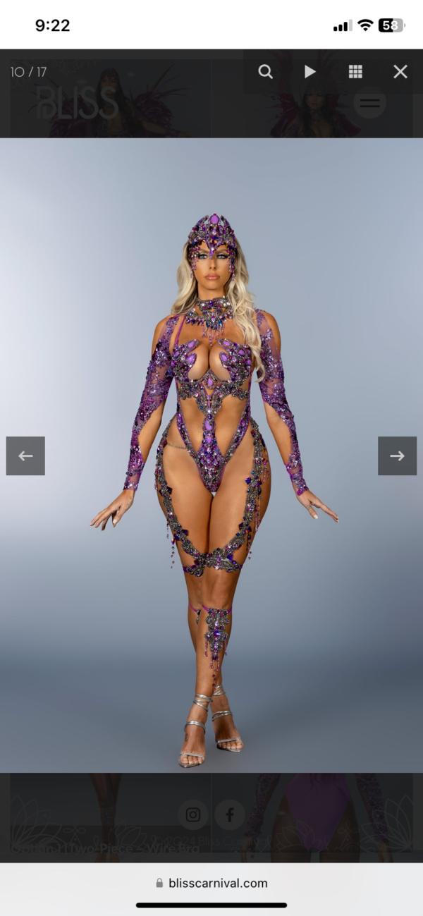 Bliss Amethyst Backline Female Costume MCM ID # 23882