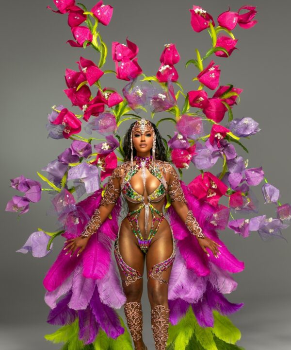 used carnival costumes
