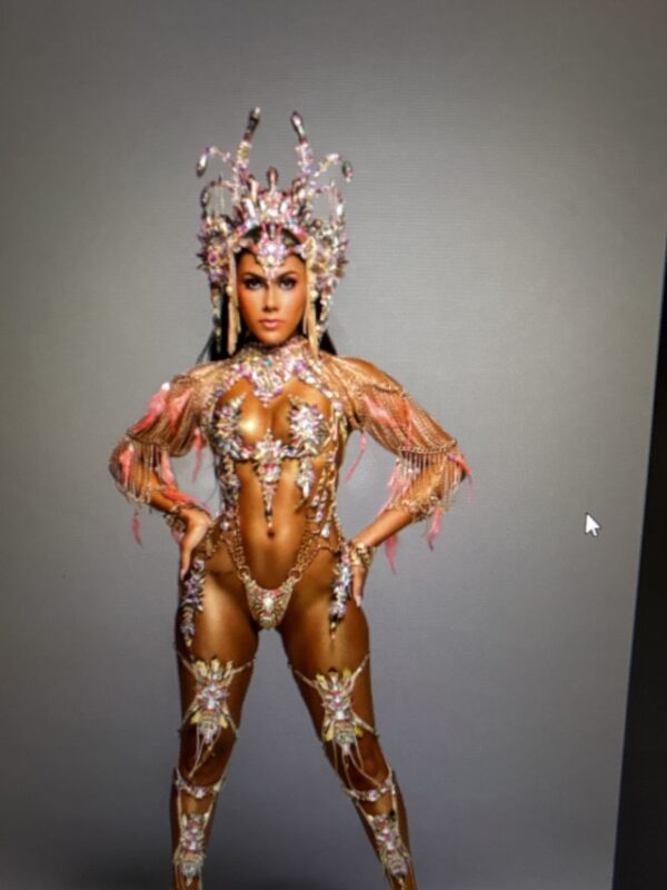Costume Resale –Spirit Dimanche  Backline Female MCM ID # 23892